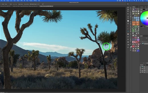 TK action | TK星期五- 互补对比（颜色和色调）