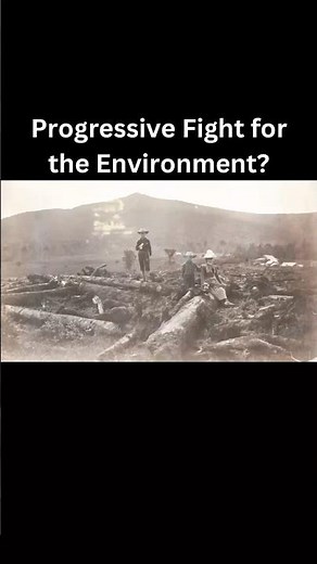 Progressive Fight for the Environment?
