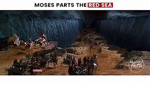 ‘MOSES PARTS THE RED SEA’ “Then Moses stretched out his hand over the sea, and all that night the Lord drove the sea back with a strong east wind and turned it into dry land. The waters were divided, and the Israelites went through the sea on dry ground, with a wall of water on their right and on their left.” ‭‭Exodus‬ ‭14:21-22‬ ‭ | Mustard Faith