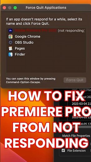 Premiere Pro NOT RESPONDING (How to fix it)