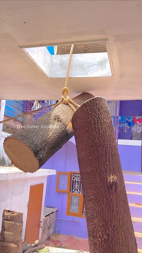 148K views · 730 reactions | 8610339350 tree cutter suyambu | Tree Cutter Suyambu | Facebook