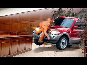 Weirdest Courtroom Moments Of ALL TIME...