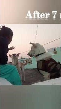 jojo and Rocky best buddy 💝😅