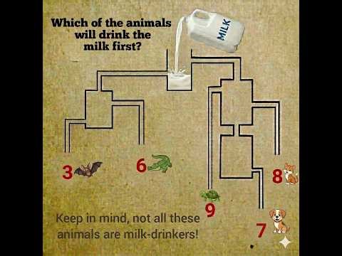 Logic or Nature? Only a genius can find the answer!"