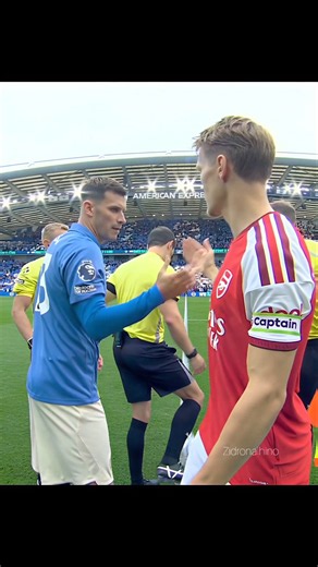 ARSENAL vs BRIGHTON 19TH SEPT. got pecked by SEAGULLS 😂