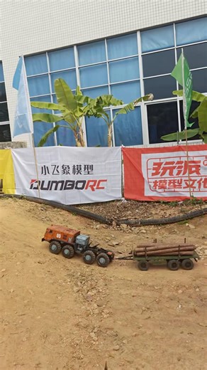 RC Monster Truck 8x8 Drives up & offroad #rctruck #rcoffoad #truck #remotecontrol #military