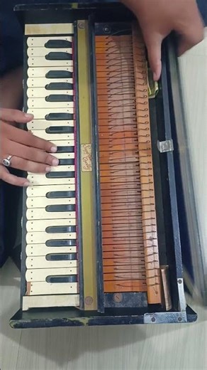 परदा हे परदा #viral #harmonium #hindisong #trustonallah #song #music