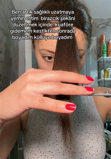 Evde Saç Kesimi ve Küllü Boya: Hızlı Sağlıklı Saç Uzatma