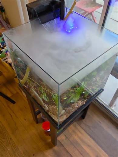 Completed Bluegill Fish Tank Setup