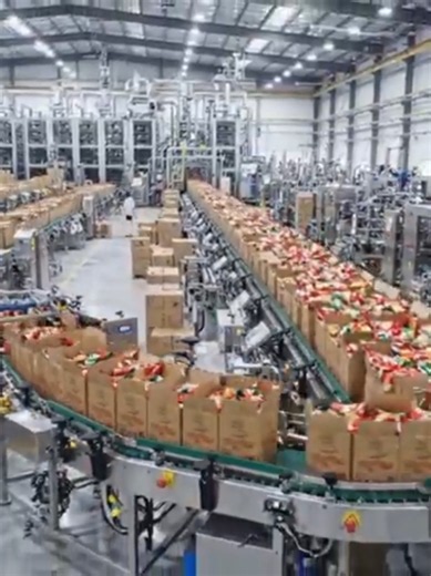 Food Factory Process: Inside Modern Factory Machines