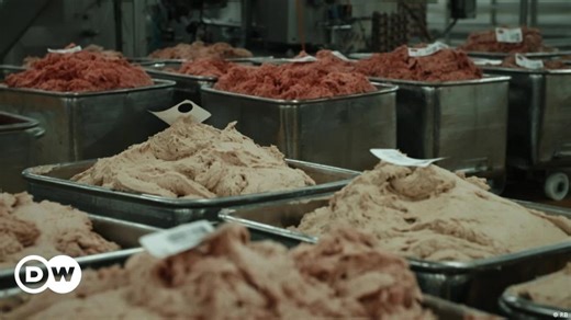 The great meat debate - Part 4: Meat from the lab