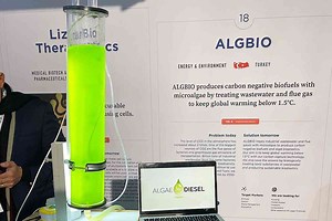 Algbio veut produire du biocarburant et capter le CO2 avec des microalgues et les eaux usées