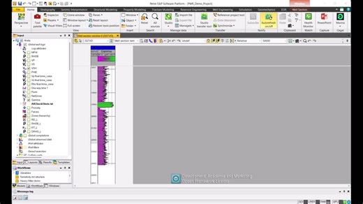#cegal #cegalway #python #petrel #geoscience #datascience #ptp #prizm #investigator | Vlad Rotar