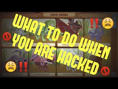 WHAT TO DO WHEN YOU ARE HACKED | Animal Jam