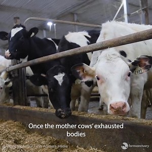 7.8K views · 5.5K reactions | CONTENT WARNING: Have you ever...