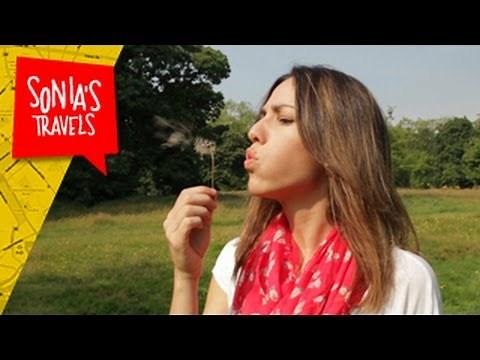 Travel London: Parks and Gardens