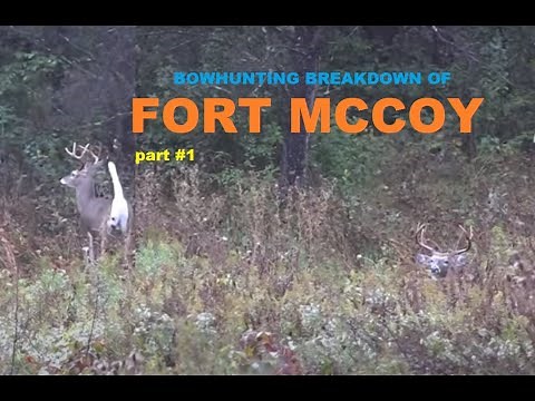 FORT MCCOY Wisconsin bowhunt "Breaking down the fort" Part #1