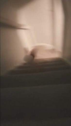 Elmo falls down the stairs