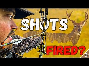 8 BIG BUCKS! Bowhunting Whitetails in Early Season BUCK NEST?