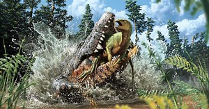 Le dernier repas de ce crocodile de 95 millions d'années était un petit dinosaure