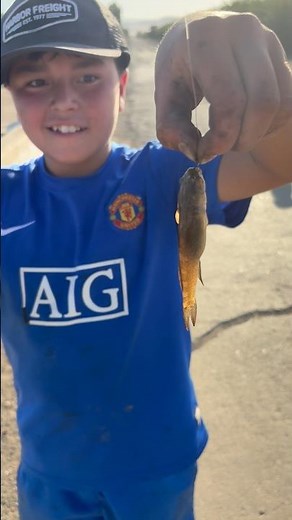 Freshwater Goby Fish | California