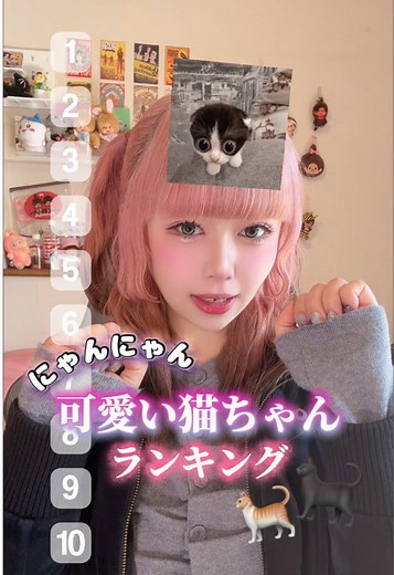 可愛い猫ちゃんランキングベスト10