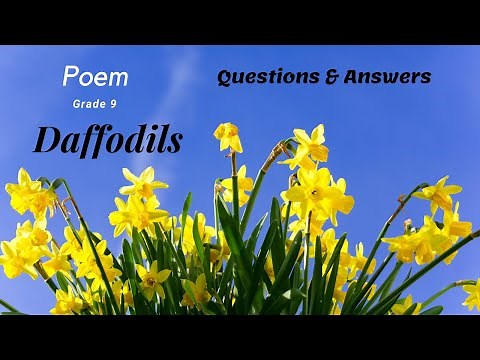 Unit 5 - Poem: Daffodils | Questions and Answers | Grade 9 | FBISE |