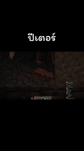 ปีเตอร์🥹#minecraft