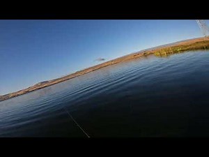 How to catch striped bass on topwater lures