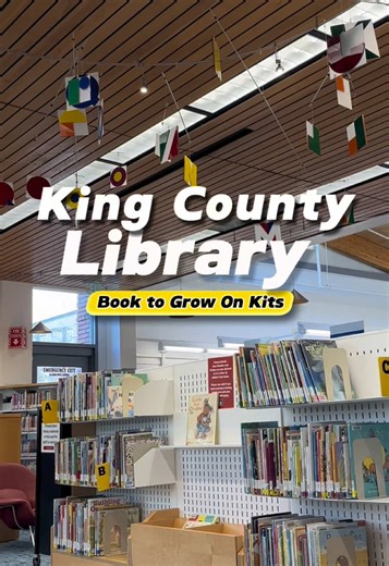 Essential Library Find for Preschool Parents: Themed Book Kits
