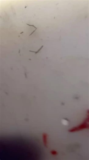 Badass 70 MPH drag jeep build is almost done! #rccar #fresh #drag #build