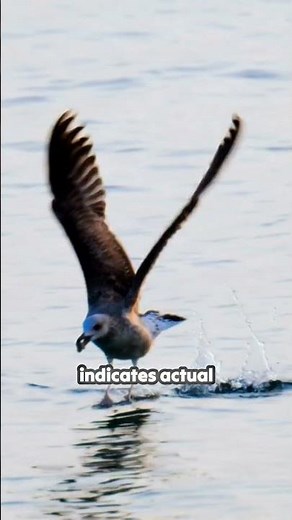 Master Your Flight Path with Perfect G-Loads!