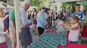 Watch Food as Medicine for Free Online | Pluto TV