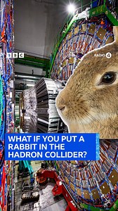 24K views · 55 reactions | OTD in 2008: The Large Hadron Collider at CERN was switched on for the first time. Since then the collider has provided all sorts of fascinating results for scientists everywhere, but when Katy Brand & Ben Miller were given a tour they were sure to ask the all important questions. Infinite Monkey Cage | Listen on BBC Sounds | BBC Radio 4 | Facebook