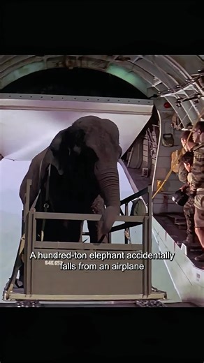 #movie #LanguageLearning #filmclips #movieclips #fyp | movie clips