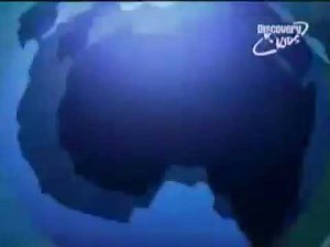 Discovery Kids UK Ident - Swimming Pool (2003-2007)