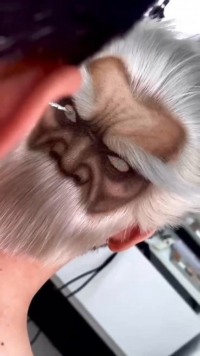 1.7M views · 16K reactions | follow me this page for more Hairstyle Marou ‍♂️✂️ #hairstylemarou #barbershopmarou #barber #barbershop #barberlife #beauty #viral #reelsviral #foryou #foryoupage #fyp #life #viralreels #facebookreels #reels #love #barbershopconnect #barberlove #hairstyles #everyone #fashion #followers #friends #beforeandafter #design #hairtutorial #hairstylist #haircut #haircolour #tutorial HAIR STYLE MAROU | HAIR STYLE MAROU | Facebook