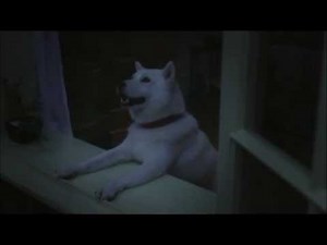 ソフトバンク 2011.12 CM