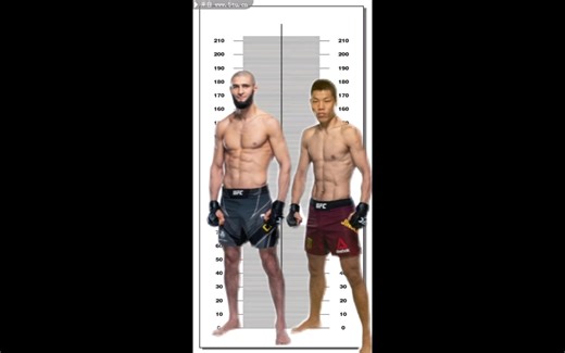 【UFC】不同量级的体格对比