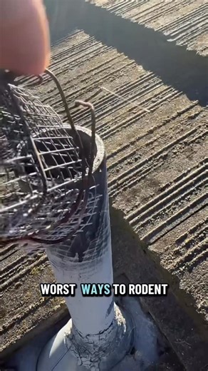 Rodent Control Solutions For Homeowners & Pest Pros on Instagram: "One of the WORST ways to rodent proof your roof vents! Comment “CAPZ” & we’ll DM it to you!"