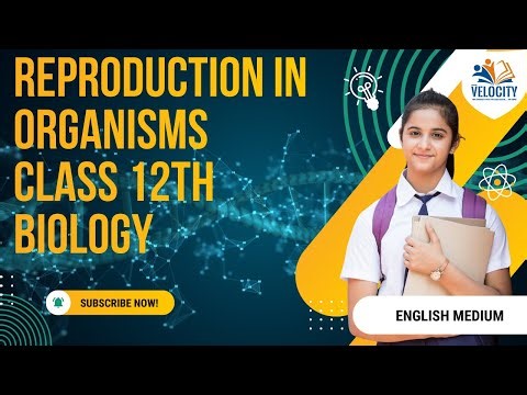 Reproduction In Organisms | Class 12 | Biology | NCERT