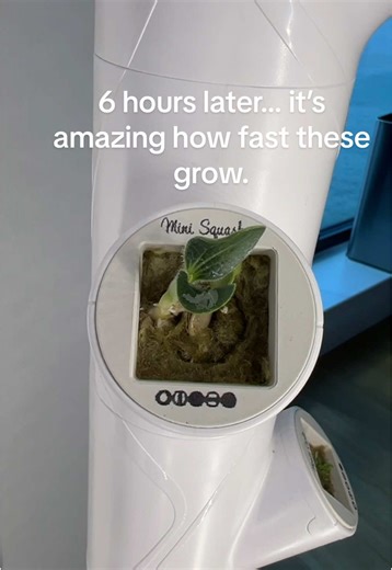 Amazing 6 Hour Plant Growth with The Gardyn Camera