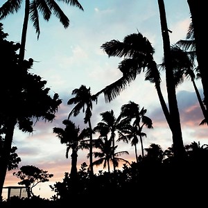 378 reactions · 20 shares | Learn to navigate the stars at the Imi Loa Nāa Hōkū experience. | Aulani, A Disney Resort & Spa | Facebook