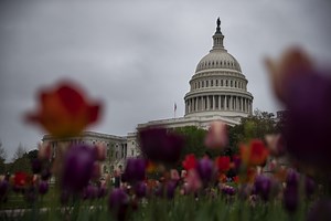 Export-Import Bank Reauthorization Lacks Needed Reform