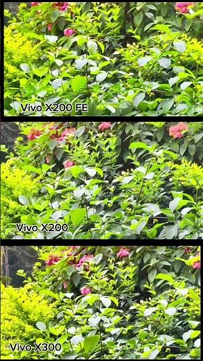 Vivo x200 FE vs Vivo x200 Vs Vivo X300 Photography Test Camera Testing video Review Compare