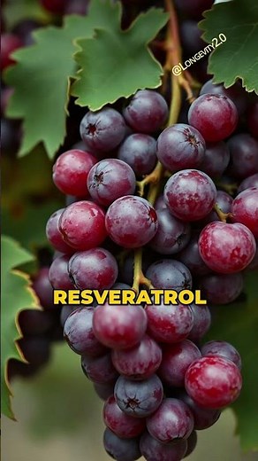 86 Year Old's Anti Aging Secrets: NMN, Metformin, Resveratrol by Dr David Sinclair