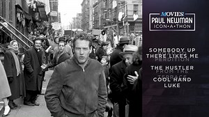 Paul Newman's marathon starts at 11:45am ET | 8:45am PT! | Movies TV Network
