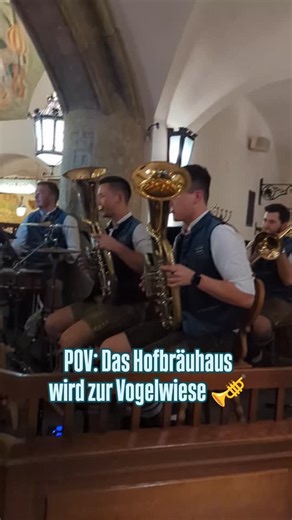 Flashback-Friday 🙌🏼 warst du auch schon im Hofbräuhaus? 🍻 #böhmisch #blasmusik #polka #münchen #hofbräuhaus #bayern #blasmusikliebe #blasmusikverbindet #blasmusikindiewelt #brasspower #brass #feststadelmusikanten | Feststadelmusikanten
