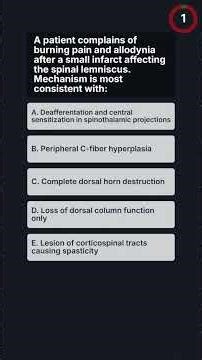 MRCP-1 Spinal Tracts and Lesions: A Neurology Quiz