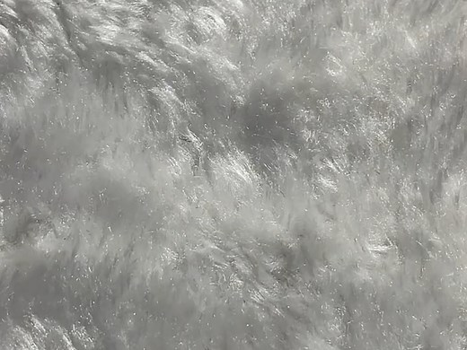 机芯测评西铁城8215机芯